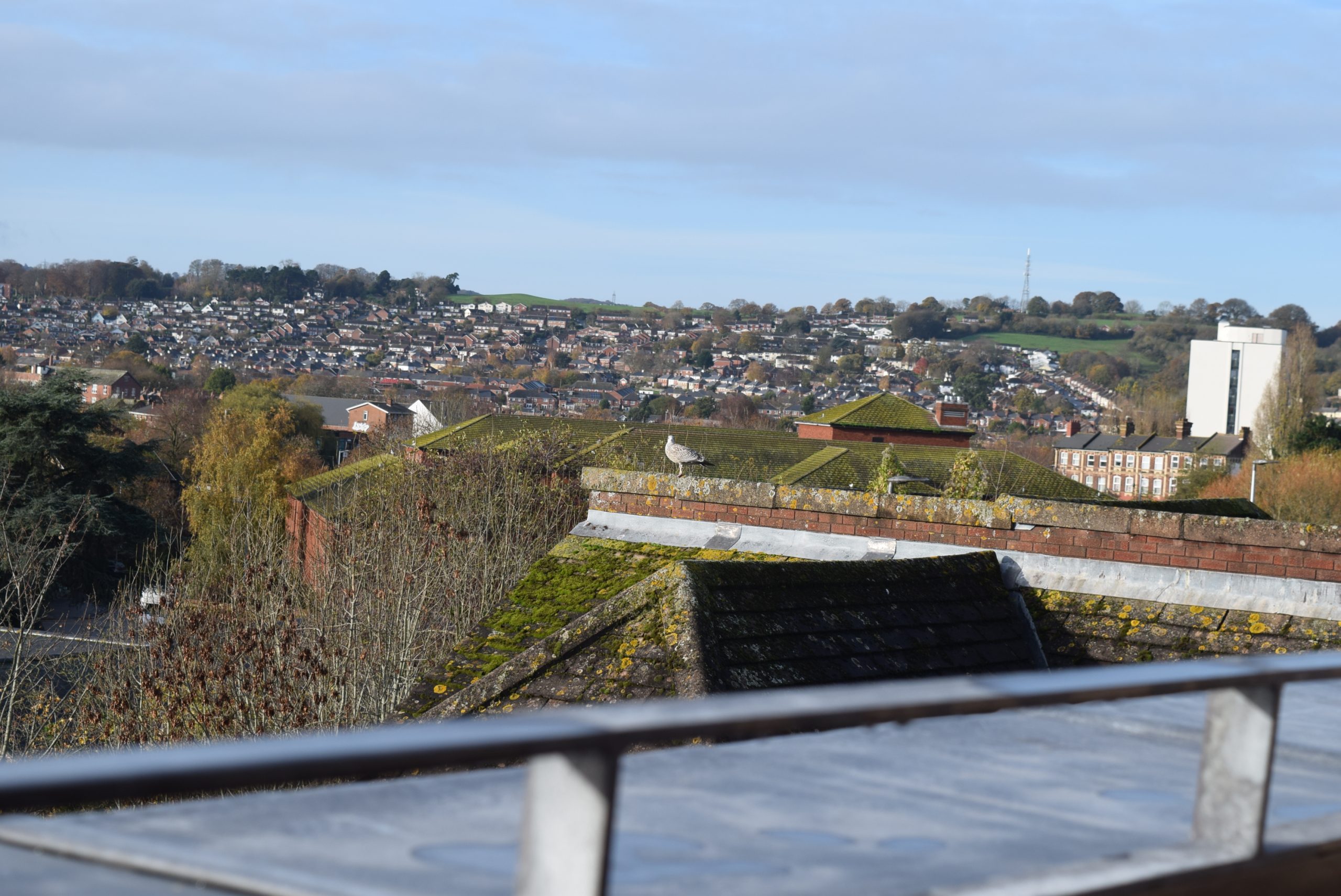 Architectural metalwork for 4 new homes in Exeter 10