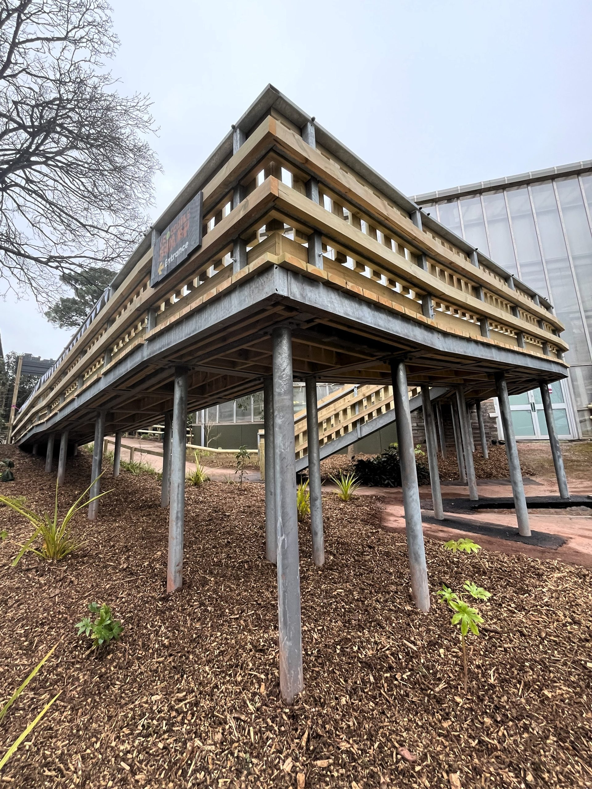 Steel circular hollow sections supporting a steel framed access platform clad in wood at Paignton Zoo