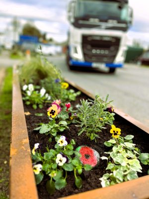 Environmental and Sustainability Policy 1